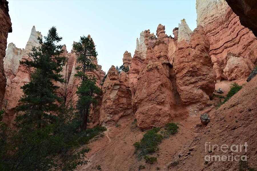 Bryce Canyon Sunset Hike Photograph by Leslie M Browning