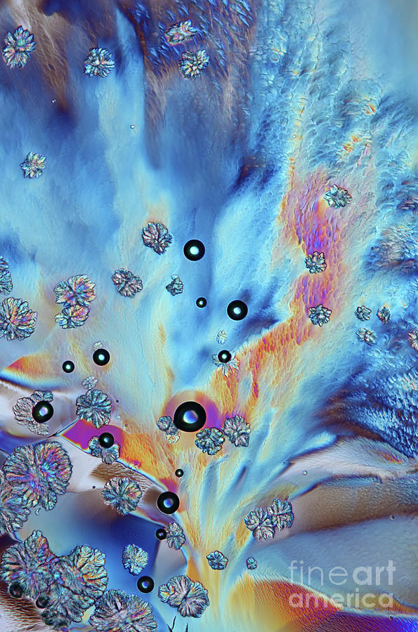 Bubbles In Sucrose And Zinc Sulphate #2 Photograph by Karl Gaff / Science Photo Library