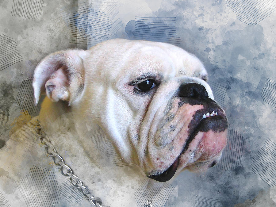 Bulldog #2 Mixed Media by Marvin Blaine