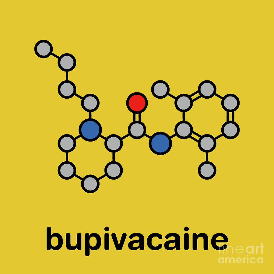 Bupivacaine Epidural Anaesthetic Drug Molecule Photograph by Molekuul ...