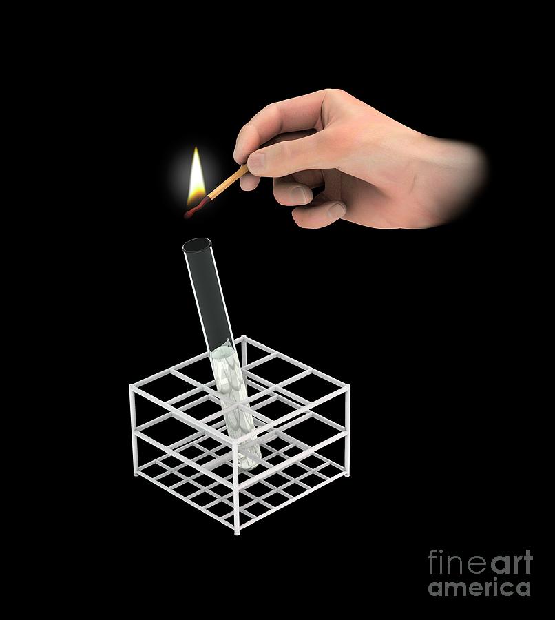 Burning Splint Test #2 Photograph by Mikkel Juul Jensen/science Photo Library