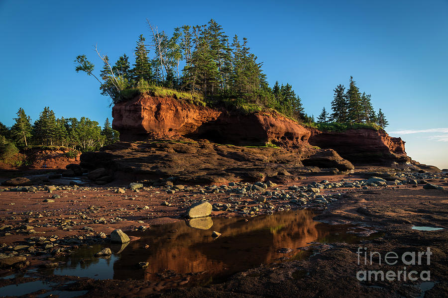 Burntcoat Head Park, Nova Scotia Photograph By Mike Organ - Pixels