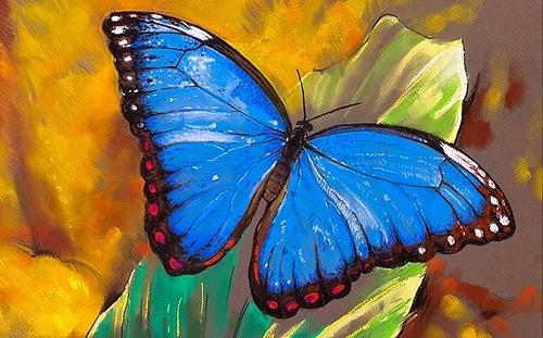 Butterfly Painting by Vishal Gurjar - Fine Art America