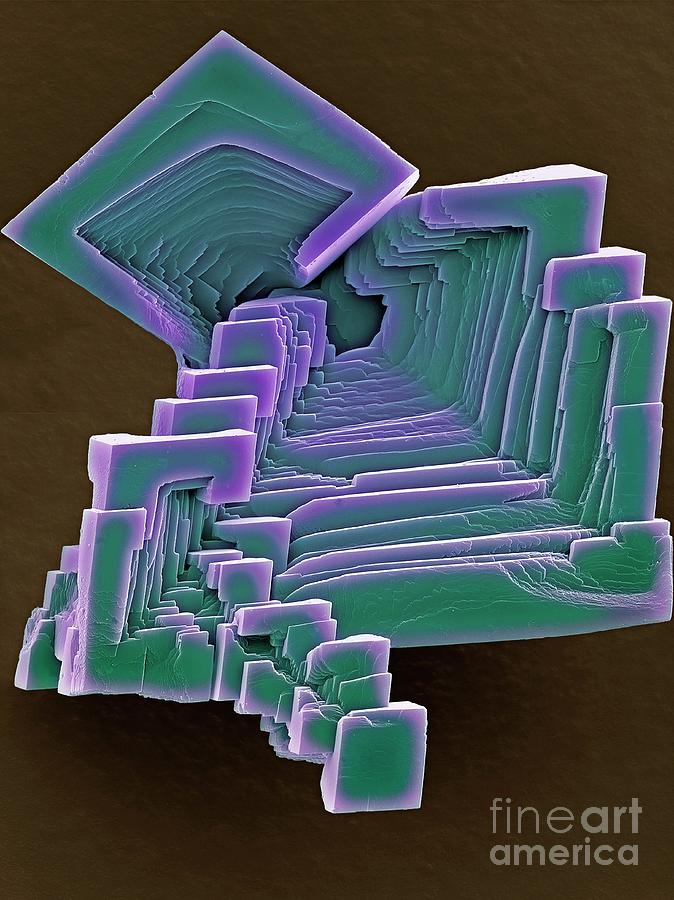 Calcium Carbonate Crystals #2 Photograph by Steve Gschmeissner/science Photo Library