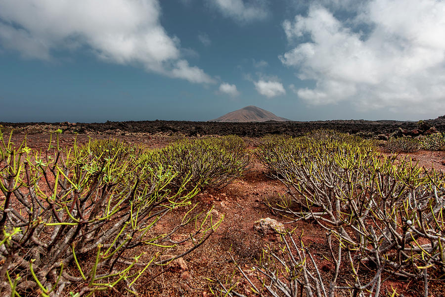 Caldera Blanca Walk To The Largest Volcanic Crater On Lanzarote On The Edge Of Timanfaya National Park  458m Altitude  Crater 1200m In Diameter. Lanzarote, Canary Islands, Spain, Europe #2 Photograph by Christoph Olesinski