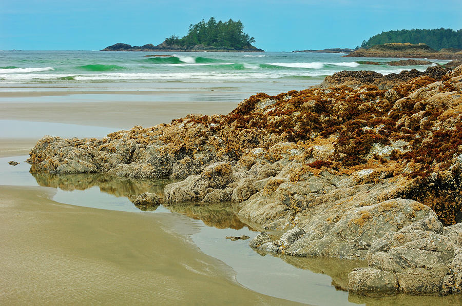 Beach Photograph - Canada, British Columbia, Pacific Rim #2 by Jaynes Gallery