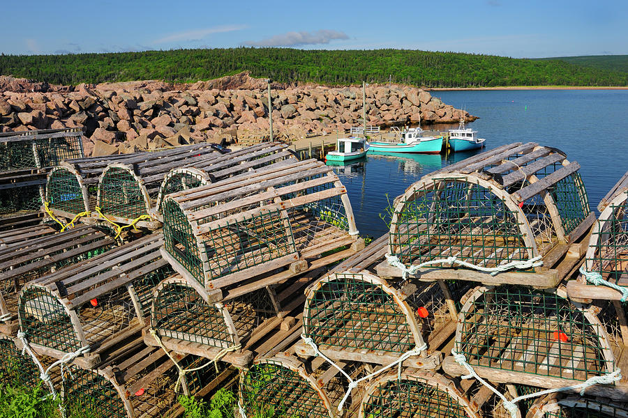 Canada Nova Scotia Brier Island Photograph By Jaynes Gallery