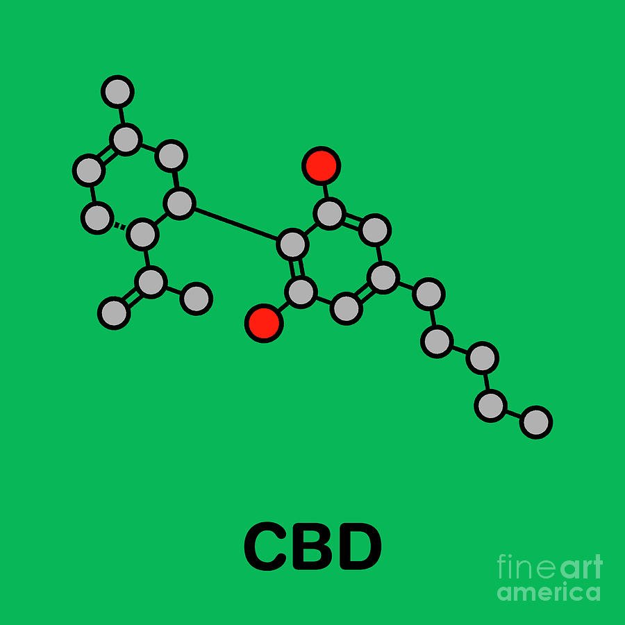 Cannabidiol Cannabis Molecule Photograph By Molekuul/science Photo ...