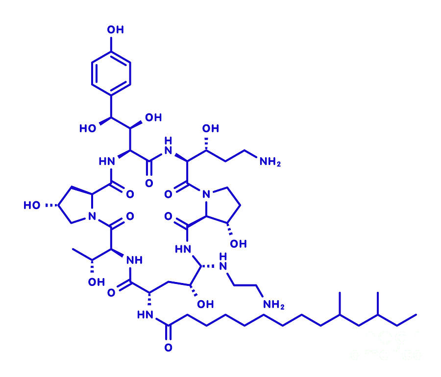 Caspofungin Antifungal Drug Photograph By Molekuulscience Photo Library Fine Art America 5162