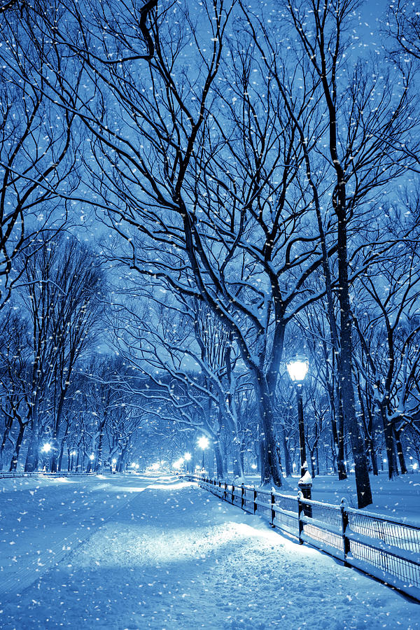 Central Park By Night During Snow Storm #2 Photograph by Pawel.gaul