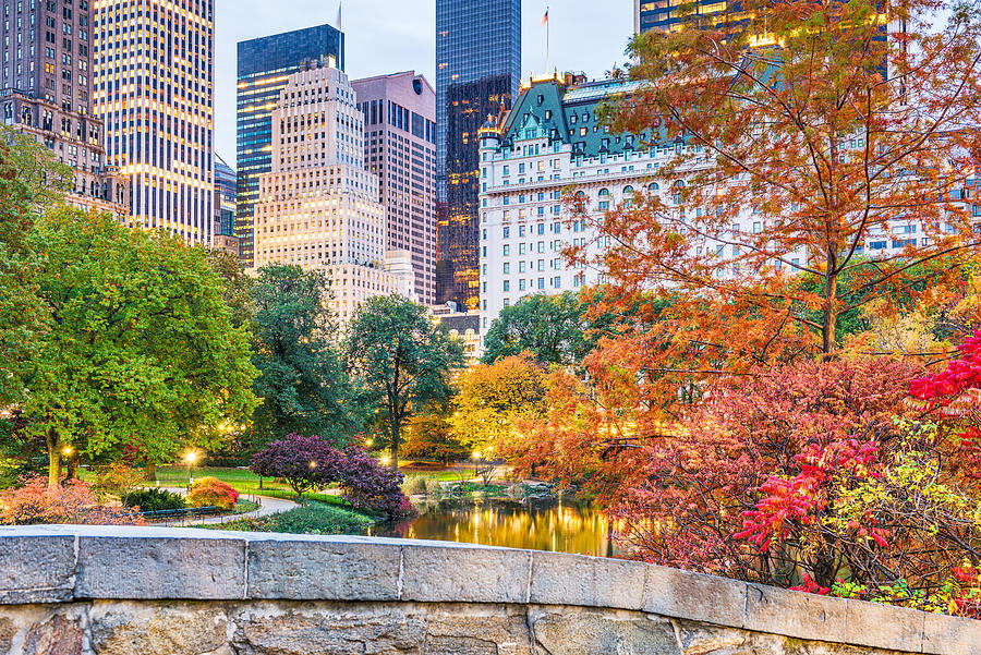 New York City Photograph - Central Park During Autumn In New York #2 by Sean Pavone