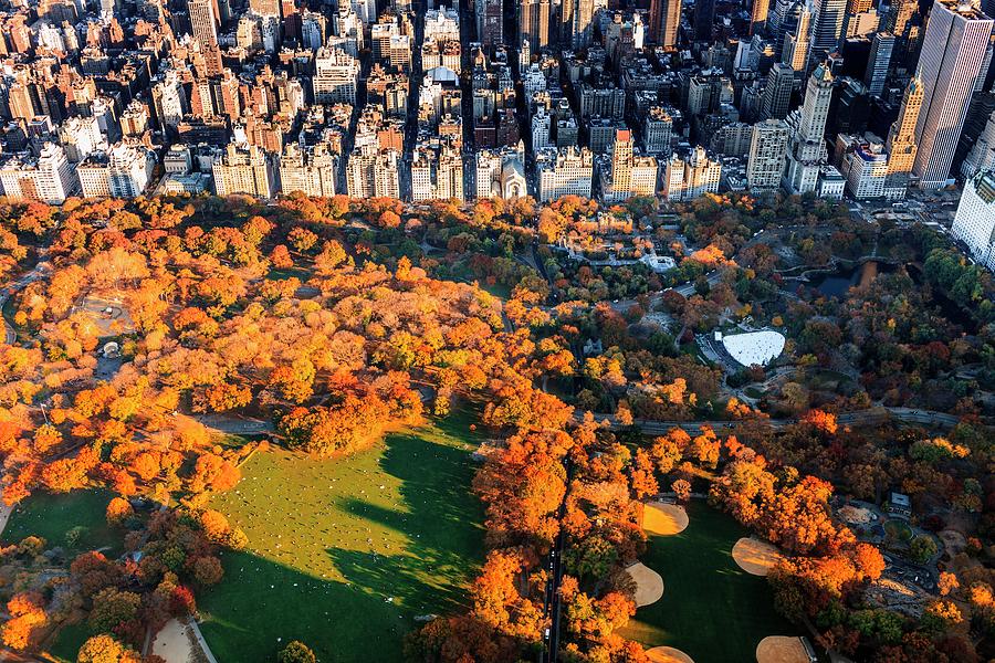 Central Park In Autumn, Nyc Digital Art by Antonino Bartuccio - Fine ...