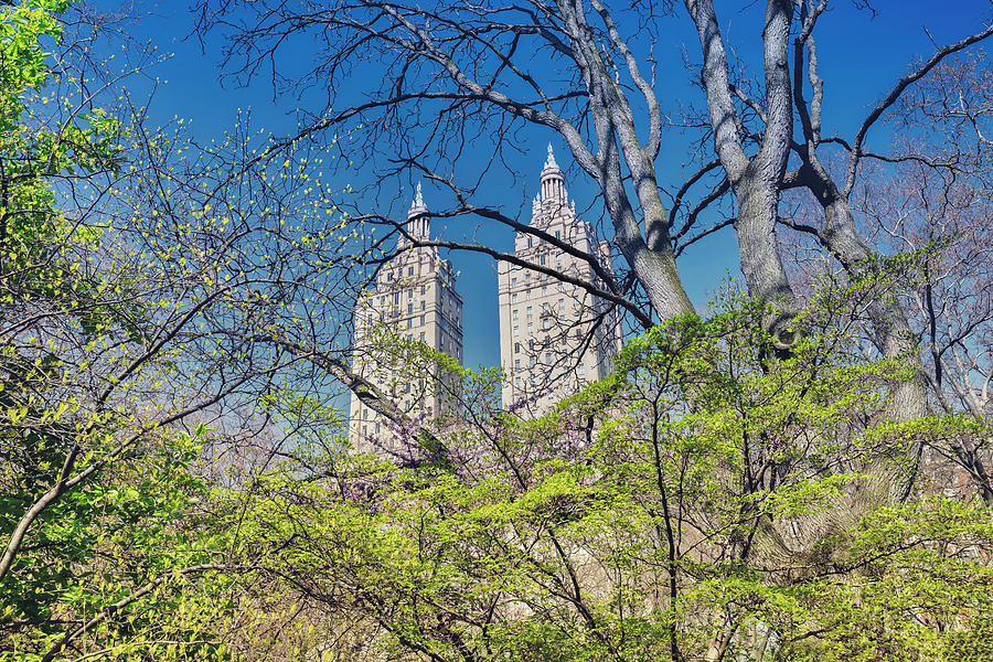 Central Park & San Remo Towers, Nyc #2 Digital Art by Claudia Uripos
