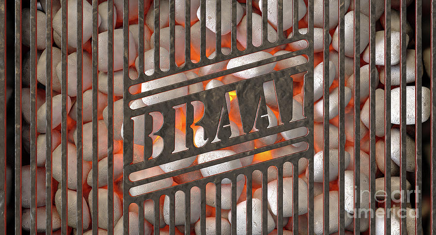 Charcoal Digital Art - Charcoal Fire And Braai Grid #2 by Allan Swart