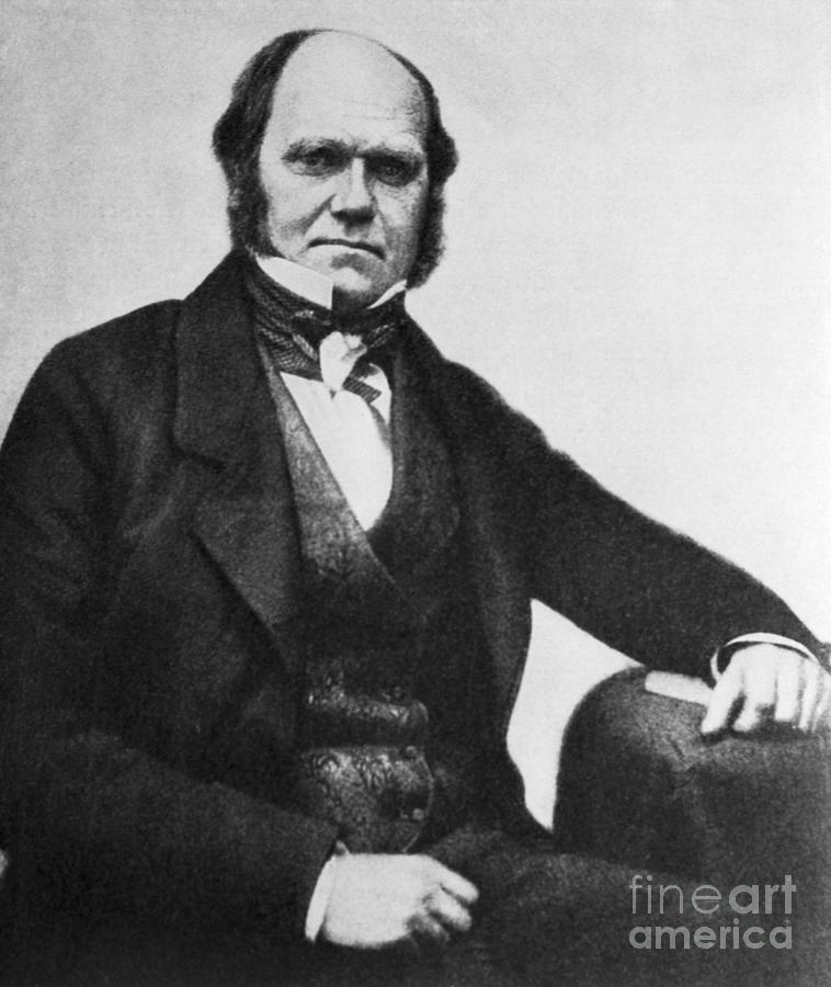 Charles Darwin #2 Photograph by Bettmann