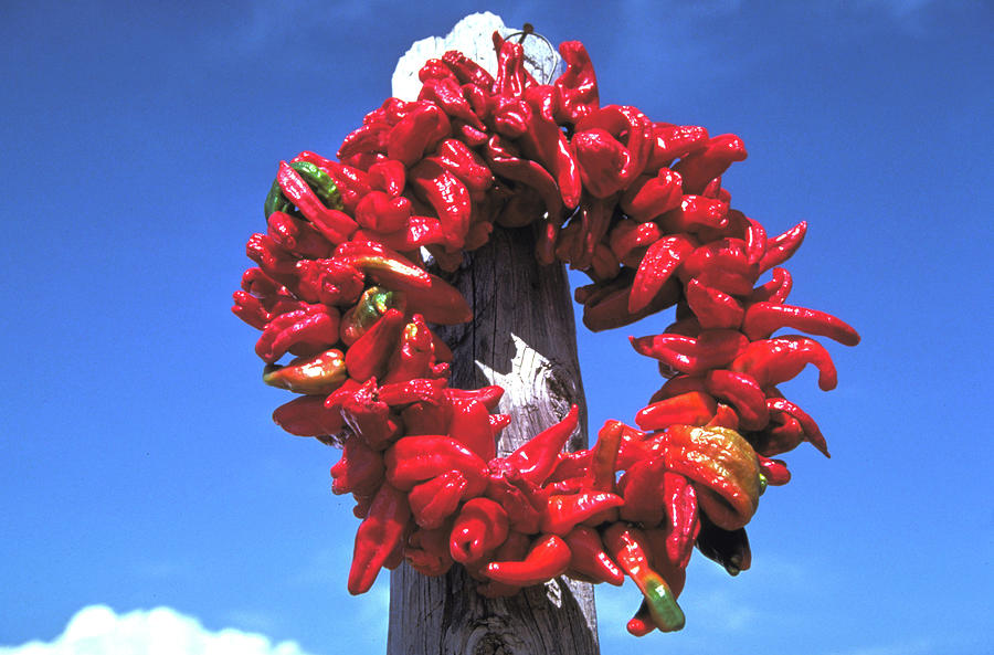 Chili Pepper Xmas Wreath Photograph