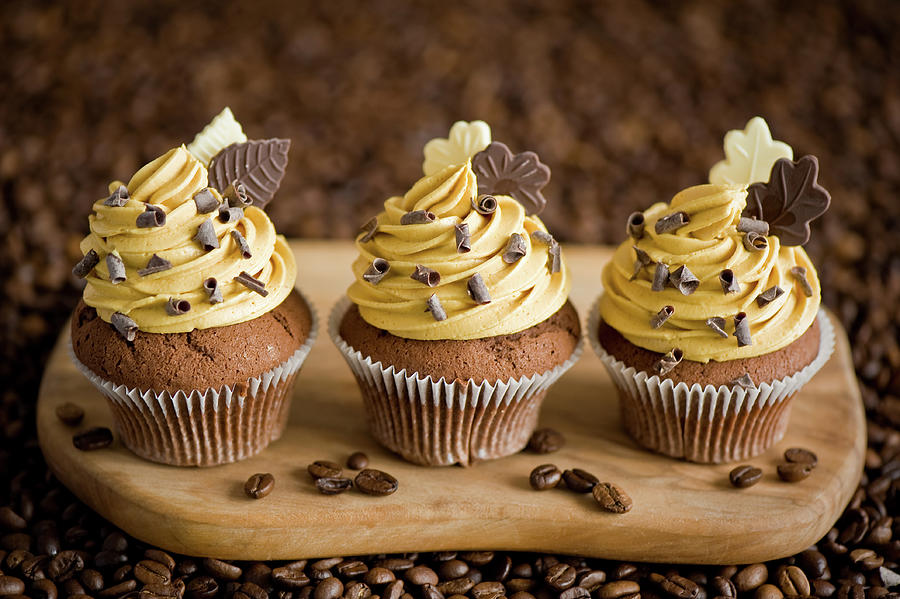 Chocolate Cupcakes #2 Photograph by Verdina Anna