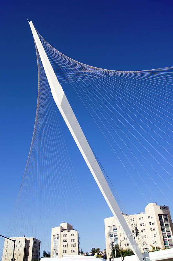 Chords Bridge #2 Photograph by Mark Williamson/science Photo Library