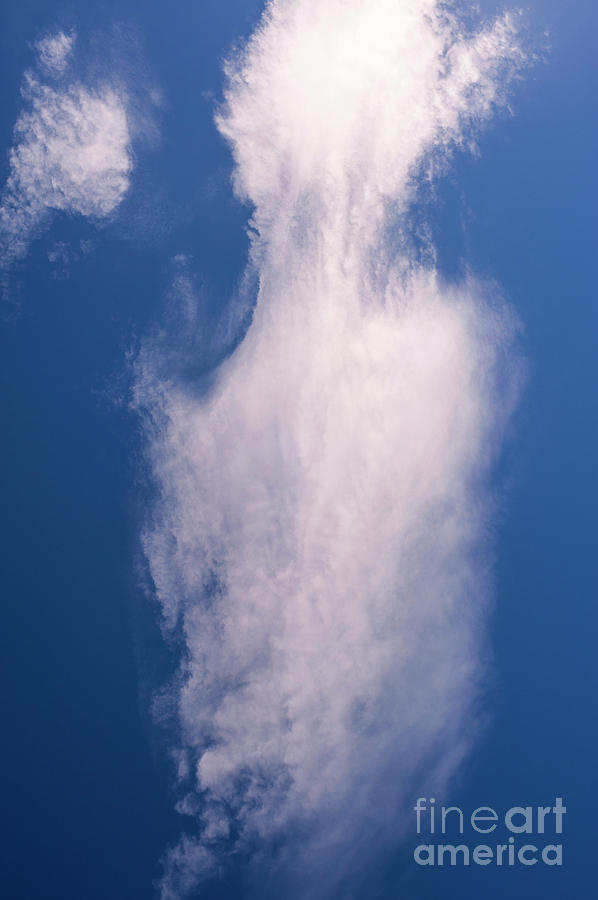 Cirrocumulus Clouds  #3 Photograph by Jim Corwin