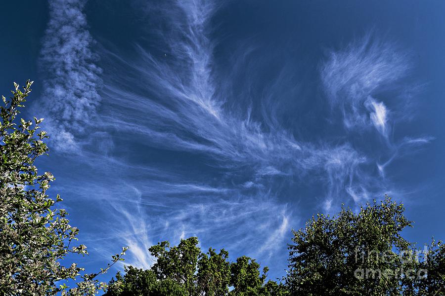 Cirrus Spissatus Clouds Photograph by Stephen Burt/science Photo ...