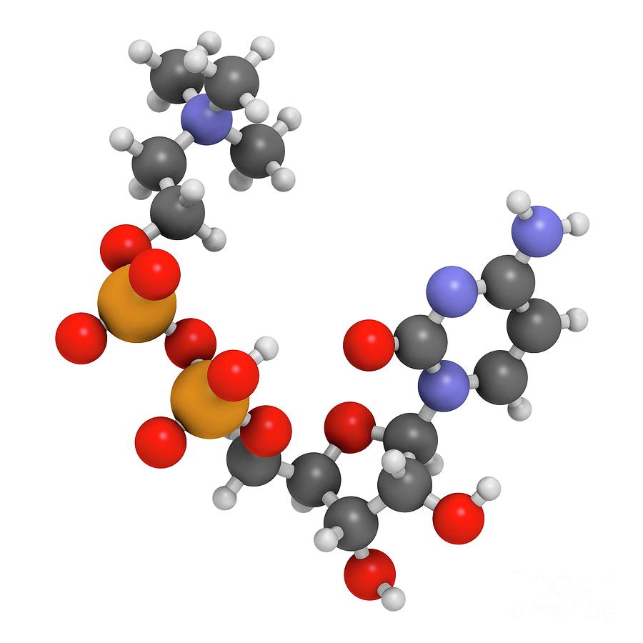 Citicoline Molecule #2 Photograph by Molekuul/science Photo Library