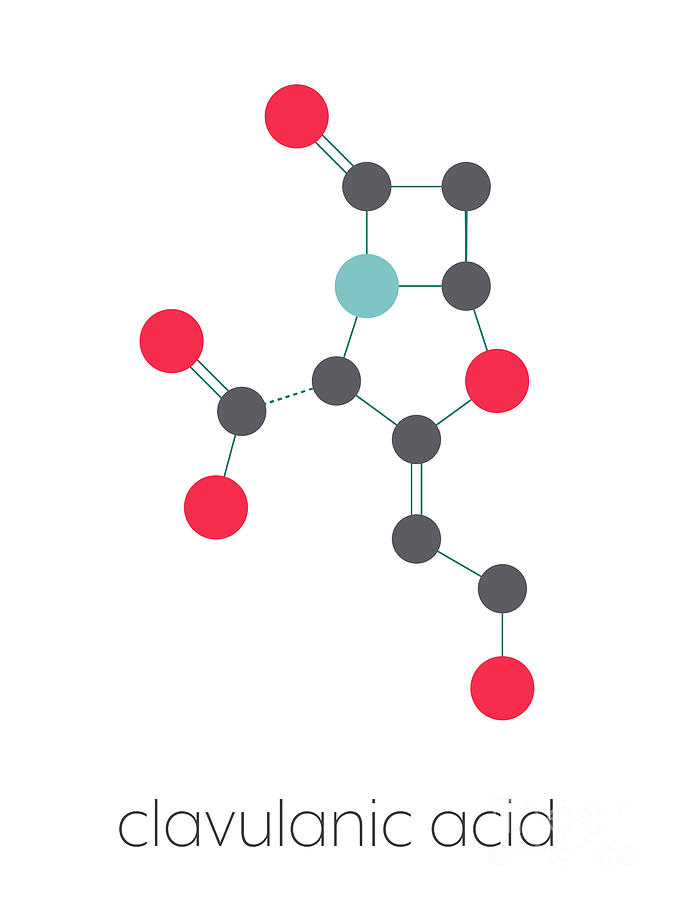 Clavulanic Acid Beta-lactamase Blocker Drug Photograph by Molekuul ...