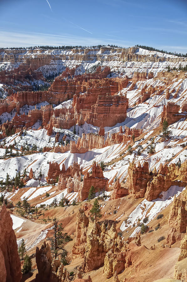Clear Bryce Canyon In Winter Photograph