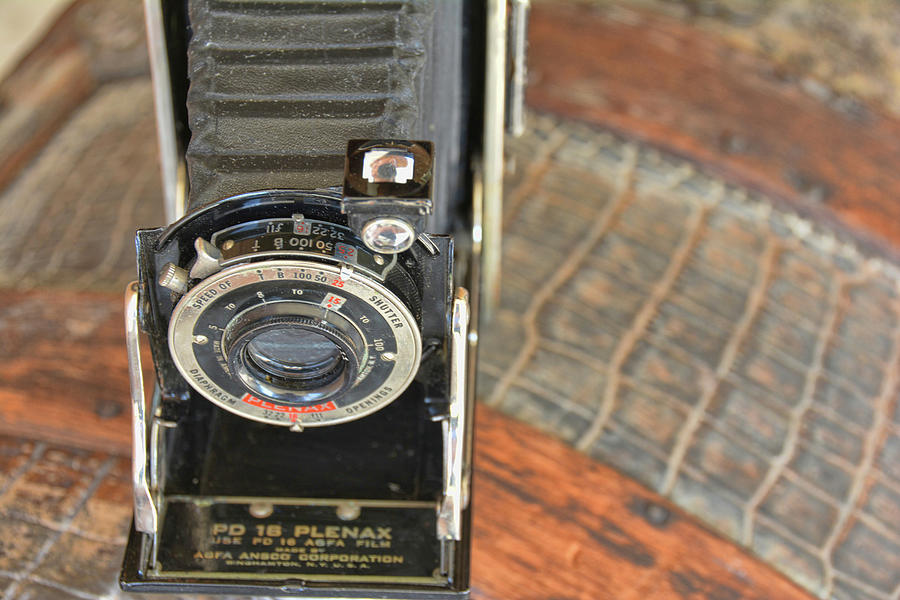 Vintage Photograph - Close Up by Jamart Photography
