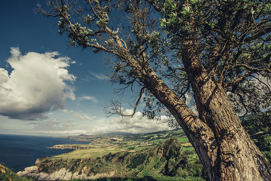 Coastal Landscape In The Azores, Sao Miguel, Azores, Portugal, Atlantic Ocean, Atlantic Ocean, Europe #2 Photograph by Christian Frumolt