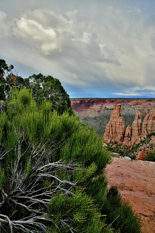Colorado National Monuments Grand View Point #2 Photograph by Ray Mathis