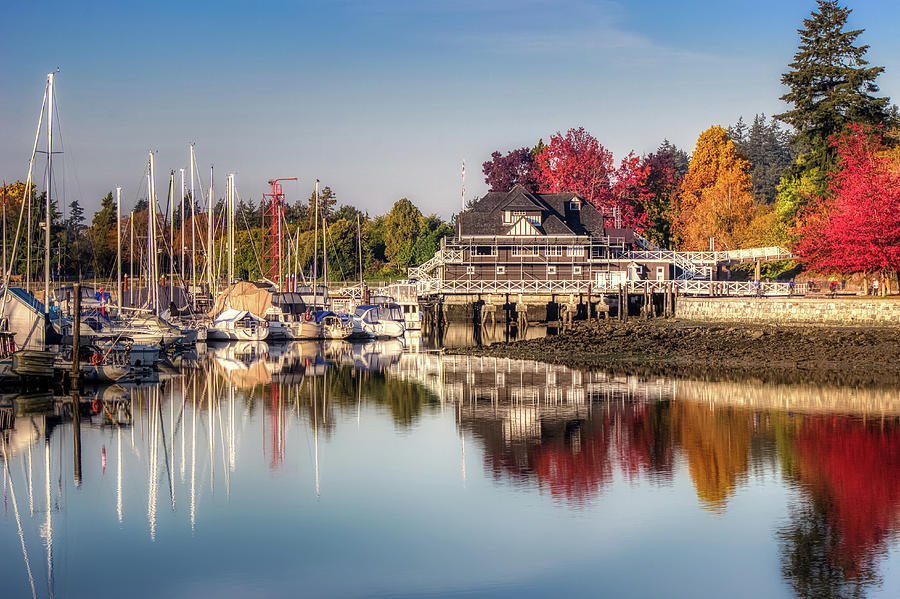 Colorful Autumn Foliage at Stanley Park #2 Photograph by Andy Konieczny