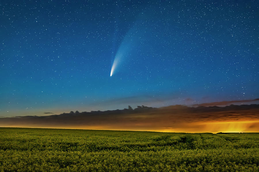 Comet Neowise Over A Ripening Canola #2 Photograph by Alan Dyer