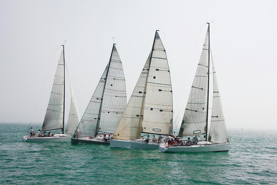 Competitive Sailing In Key West Photograph by Schedivy Pictures Inc.