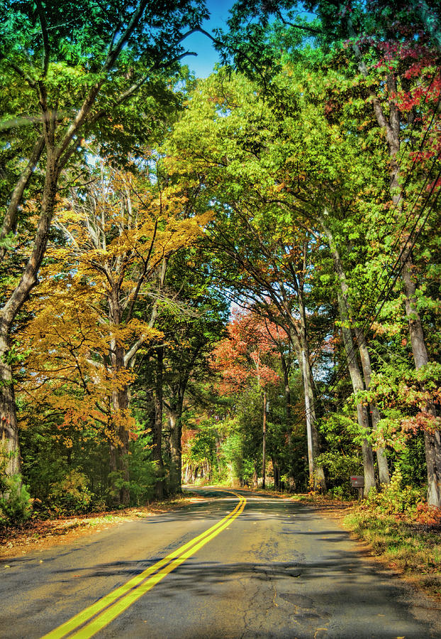 Country Road in Massachusetts  #2 Photograph by Cordia Murphy