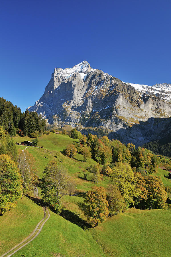 Countryside Photograph by Raimund Linke - Fine Art America