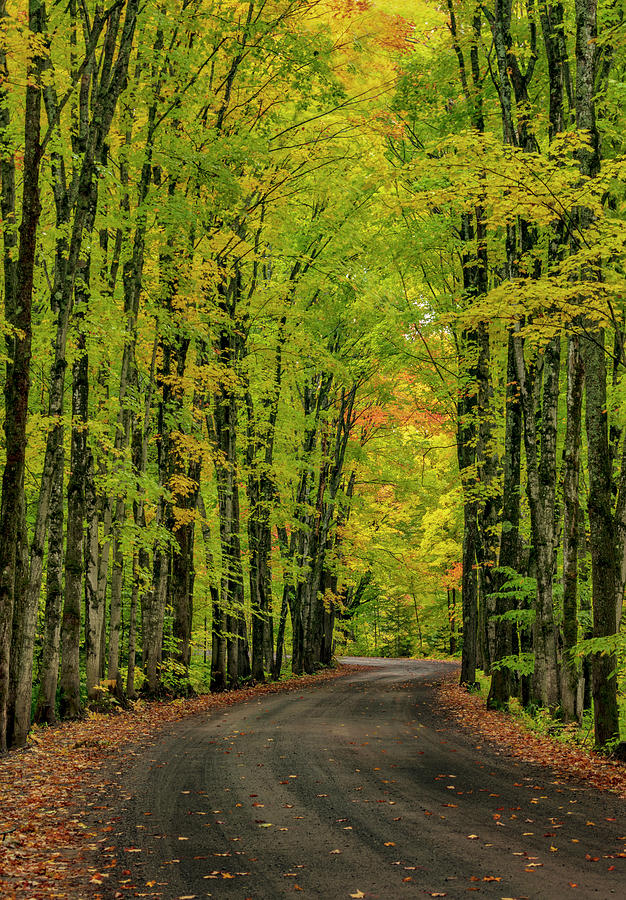 Covered Road Near Houghton In The Upper Photograph by Chuck Haney ...