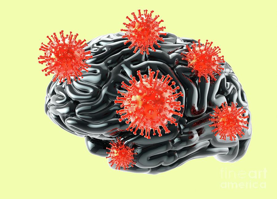 Covid-19 Virus Affecting The Brain Photograph by Victor Habbick Visions ...