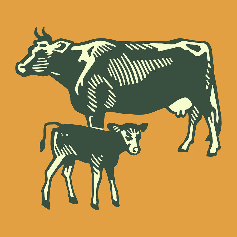 Vintage Drawing - Cow and Calf #2 by CSA Images