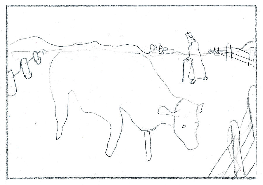 Cow in a field #2 Drawing by Edgeworth Johnstone