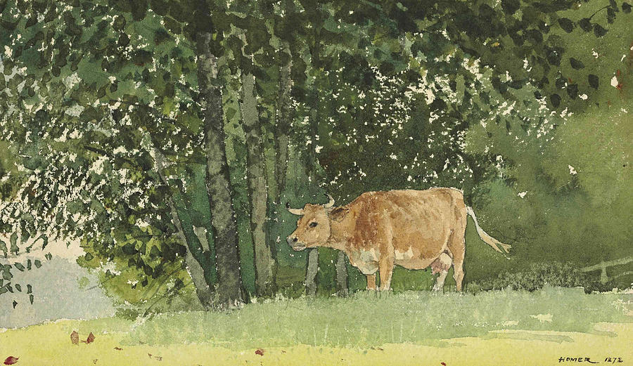 Cow in Pasture Drawing by Winslow Homer