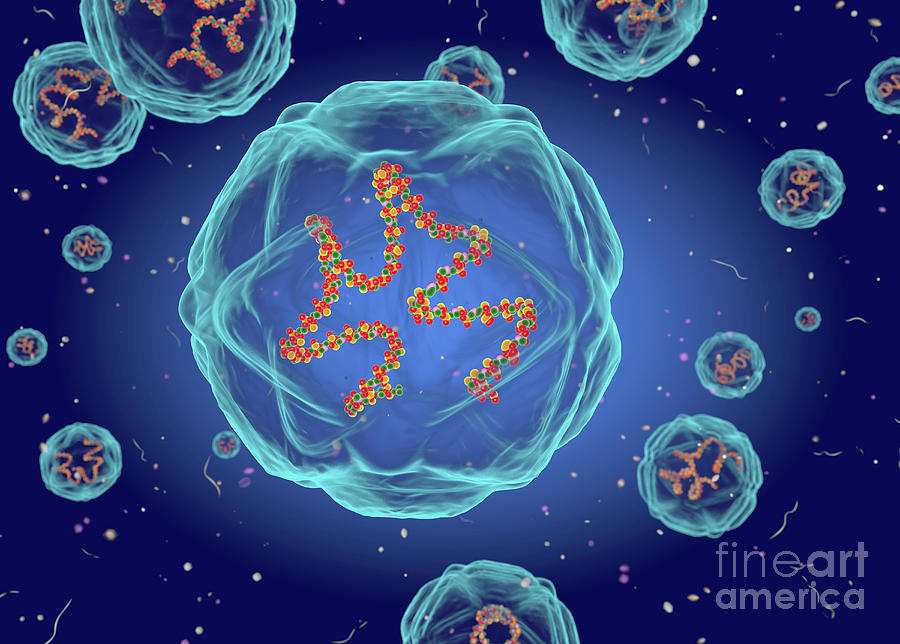 clinical presentation of coxsackie virus