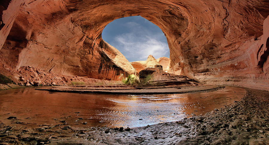 Nature Photograph - Coyote Gulch Alcove, Southern Utah by Leland D Howard