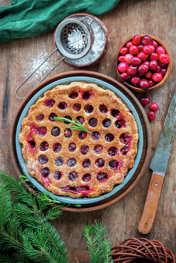 Cranberry Pie #2 Photograph by Irina Meliukh