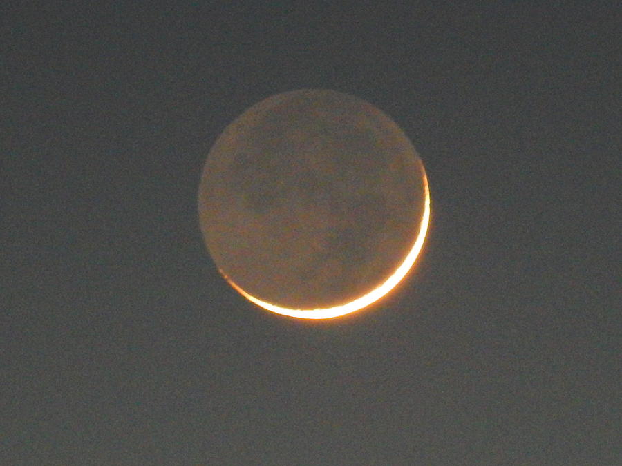 Crescent Moon #2 Photograph by Virginia White