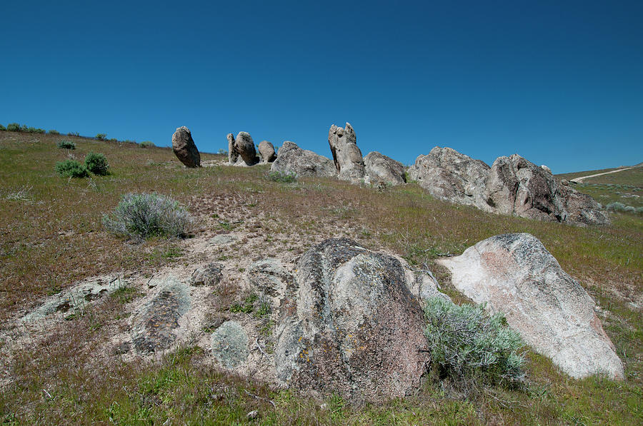 Cretaceous Granodiorite Outcrops, Idaho #2 Photograph by William Mullins