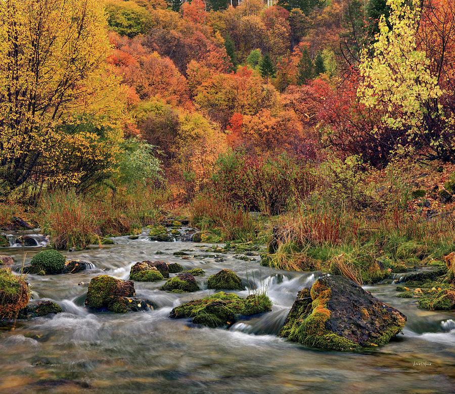 Cub River Autumn #2 Photograph by Leland D Howard