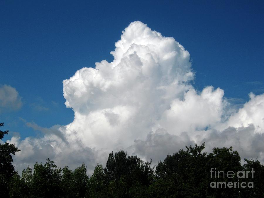 Summer Photograph - Cumulus Congestus Clouds Over Trees #2 by Stephen Burt/science Photo Library