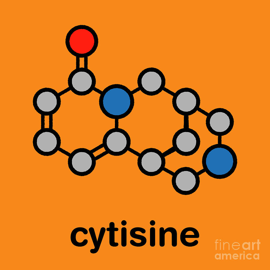 Cytisine not noninferior to varenicline for smoking cessation