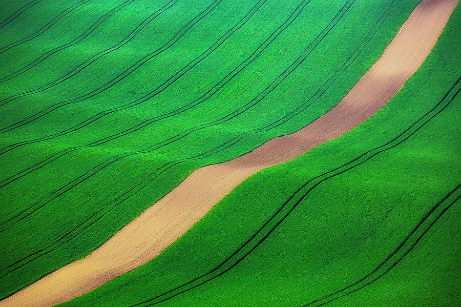 Farm Photograph - Czech Republic, Moravia #2 by Jaynes Gallery