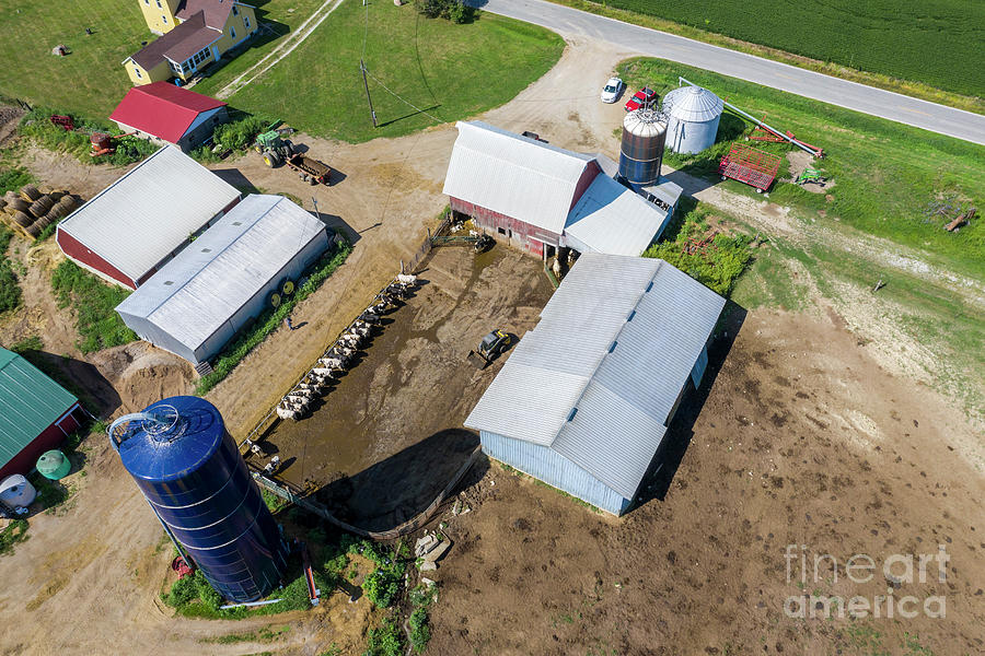 Dairy Farm Photograph by Jim West/science Photo Library - Fine Art America